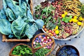 FRANCHISE Ανάπτυξη και υποστήριξη δικτύου Franchise